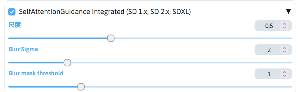 _self_attention_guidance_interface